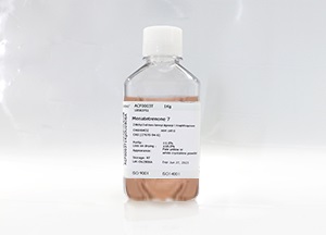 SeeFM01 CHO補料培養(yǎng)基(液體)