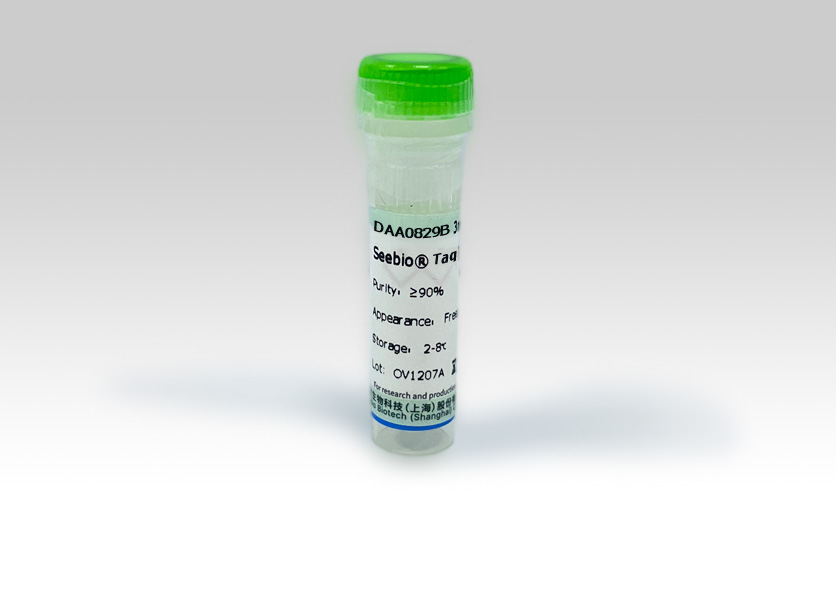 Seebio? Taq DNA Polymerase (Glycerol-free)