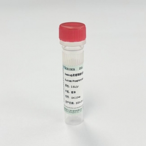 Seebio? 蔗糖磷酸化酶